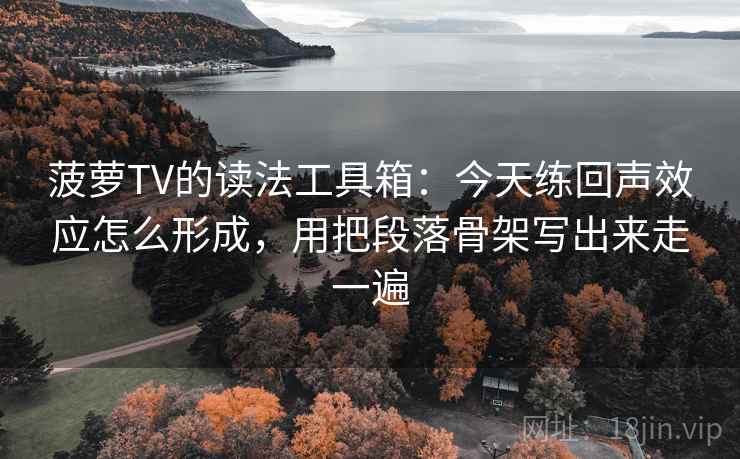 菠萝TV的读法工具箱:今天练回声效应怎么形成,用把段落骨架写出来走一遍